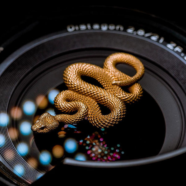Porte Clé serpent laiton