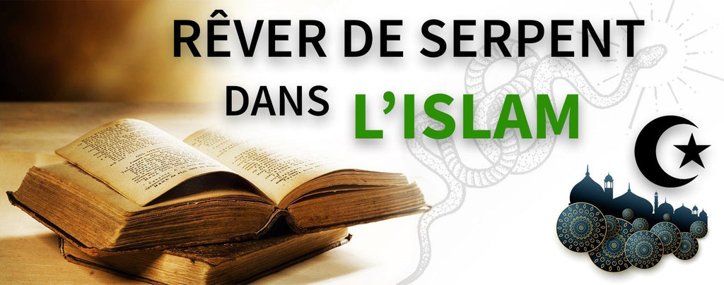 Rêver de Serpent dans l'Islam : Le Guide Complet