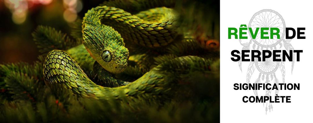 Rêver de Serpent : Signification Complète