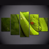 Cadre Serpent Vert